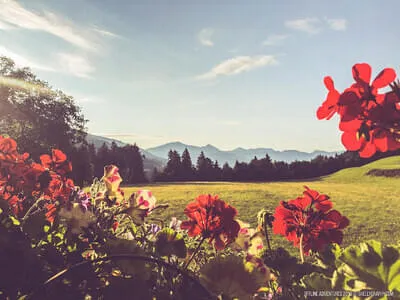 Der Rahmhof Bild 1