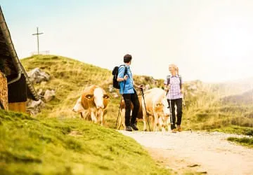 Wandern Wandern
